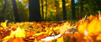  wallpapers UltraWide 21:9