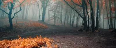  wallpapers UltraWide 21:9