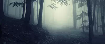  wallpapers UltraWide 21:9