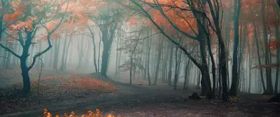  wallpapers UltraWide 21:9