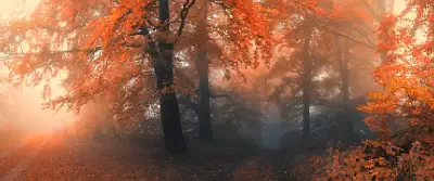 wallpapers UltraWide 21:9
